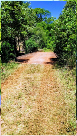 Vendo Chacra de 43,5 hectareas en Aristobulo del Valle Arroyo Alegre
