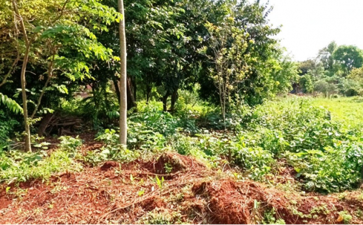 Terreno amplio alto y nivelado