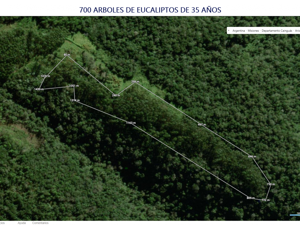 VENDO CHACRA CAMPO LOTE AGRICOLA CON RIQUEZA FORESTAL 37,25 ha