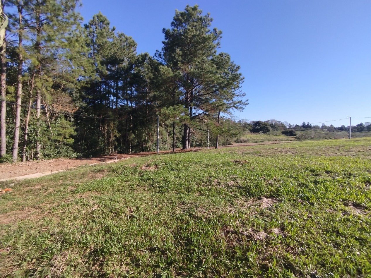 Loteo "Paraiso Escondido" - Aristobulo del Valle