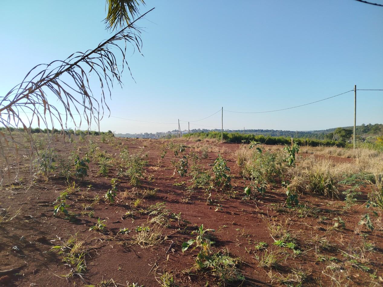 Loteo LG - Terrenos financiados sobre Ruta 220 en Salto Encantado