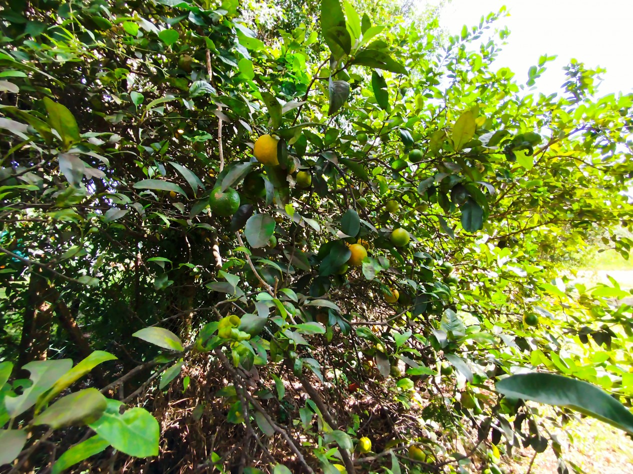 Casa grande en venta cerca de escuela de Comercio Barrio Norte esquina