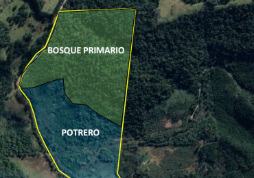 Vendo Chacra de 43,5 hectareas en Aristobulo del Valle Arroyo Alegre