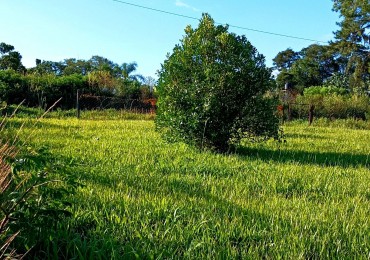 Gran terreno en esquina nivelado, parquizado y cercado