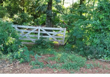 8 hectareas en venta a pasitos de Ruta 14 Aristobulo del Valle